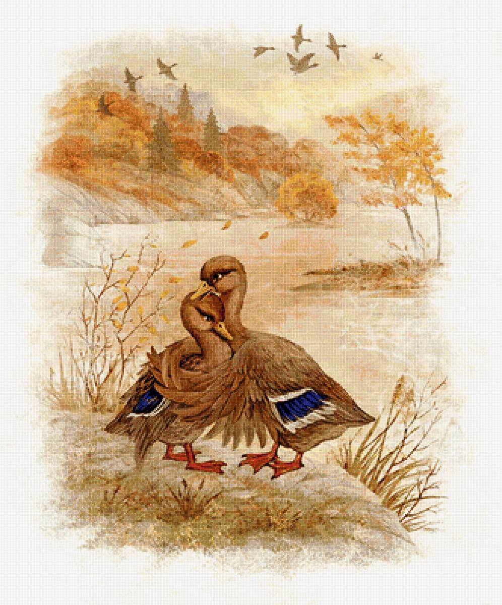 «Рисование иллюстраций к сказке д. н. Мамина-Сибиряка „серая шейка“»