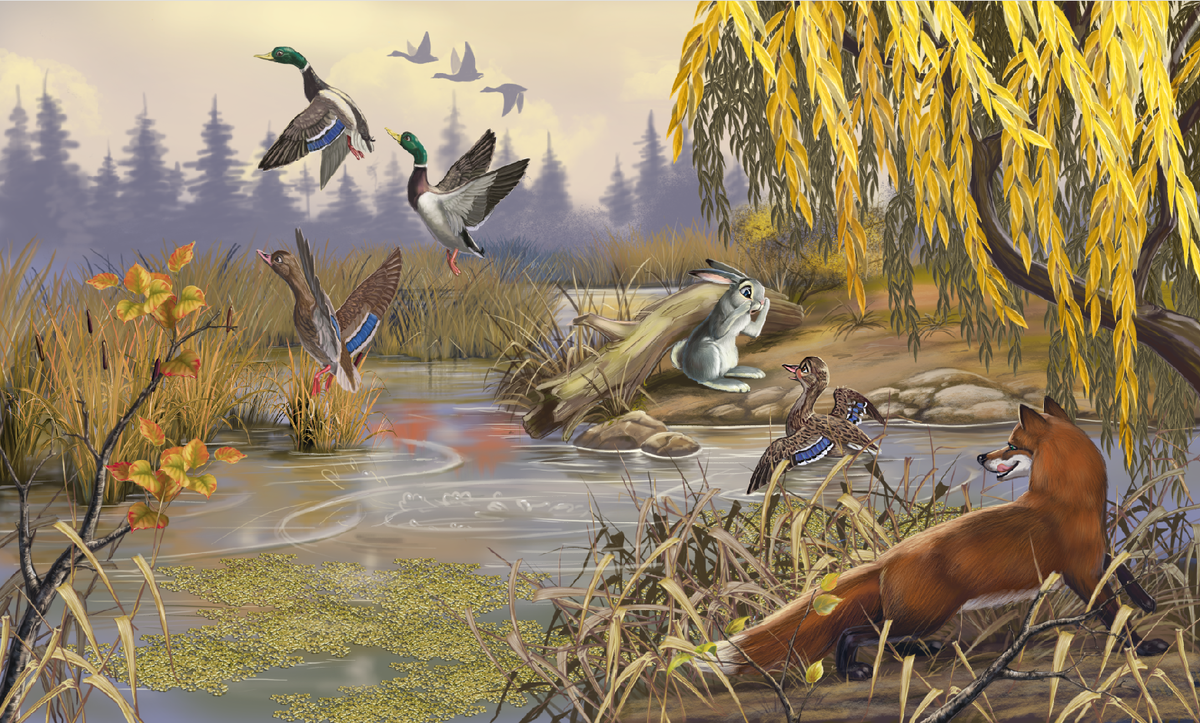 Художник-иллюстратор Галина Егоренкова