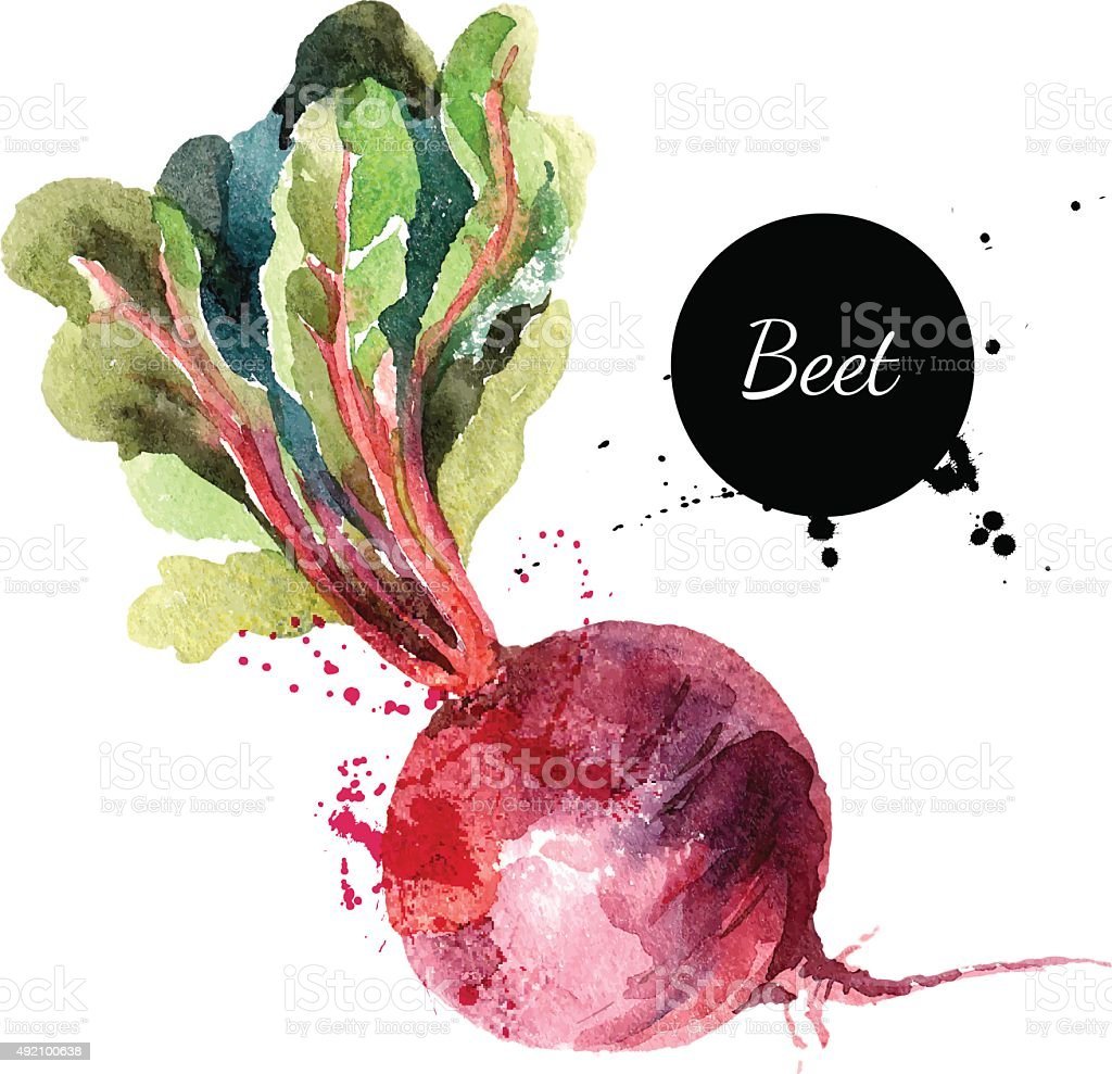 Картина свекла на белом фоне