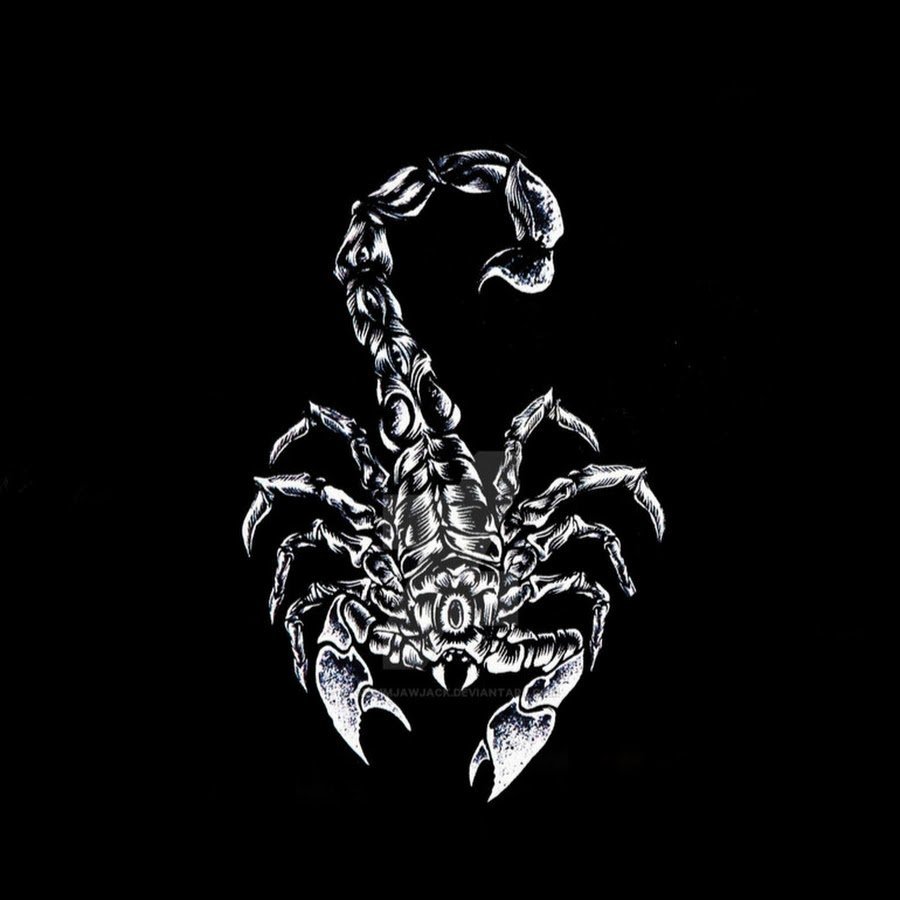 Ночной Скорпион