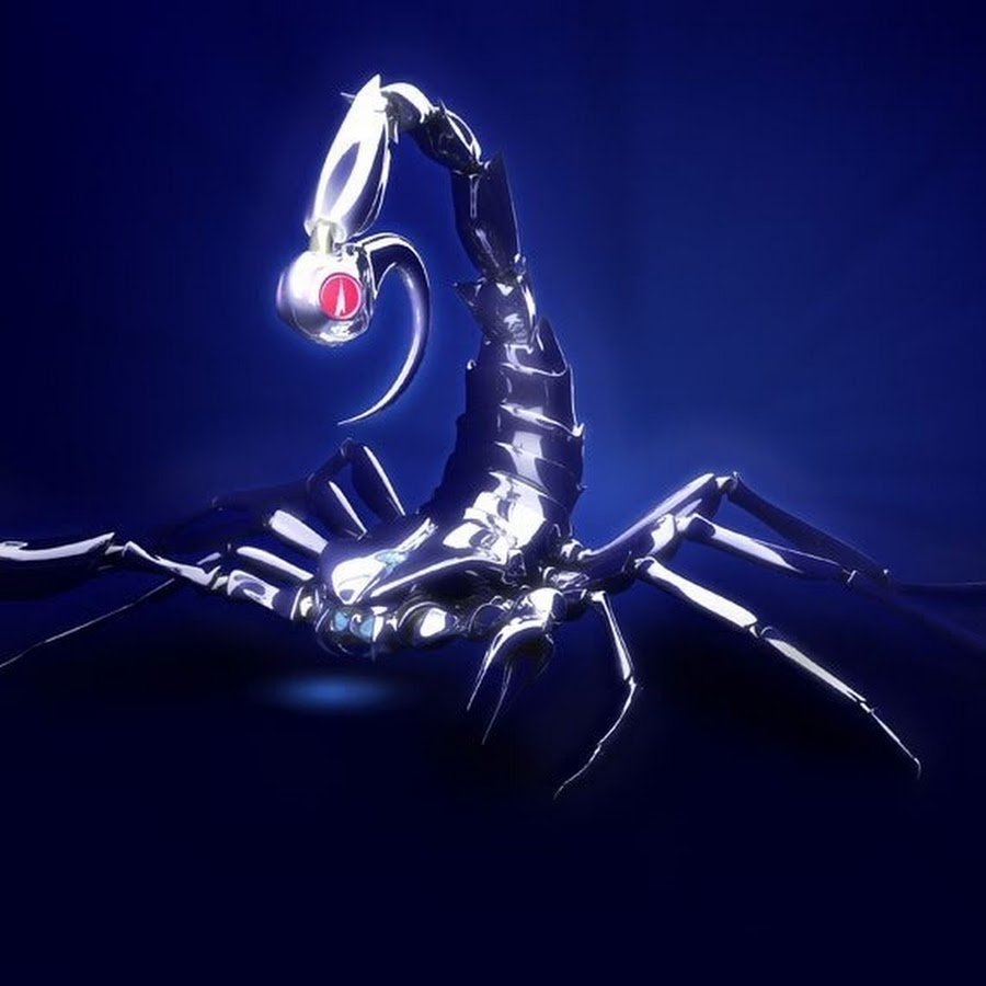 Скорпион на аву