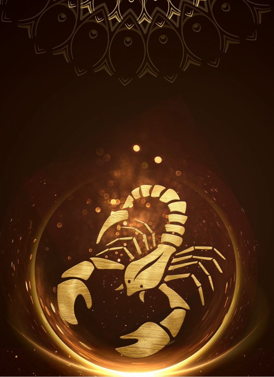 Заставки на телефон Скорпион