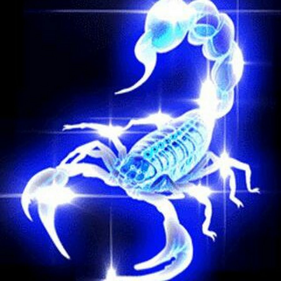 Знак зодиака Скорпион