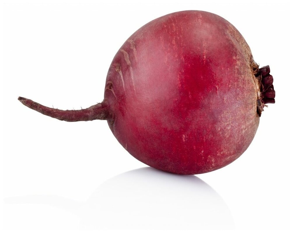 Свекла в разрезе