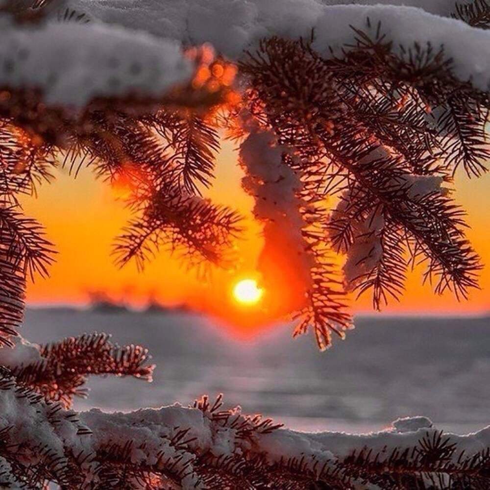 Дом в зимнем лесу