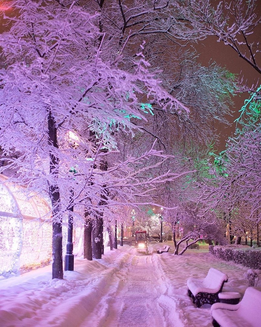 Теплой зимней ночи