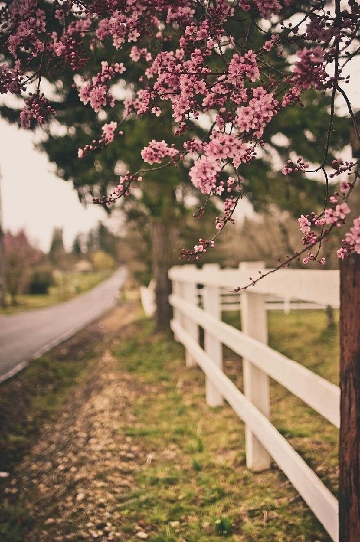 Пейзажи России фото высокого качества