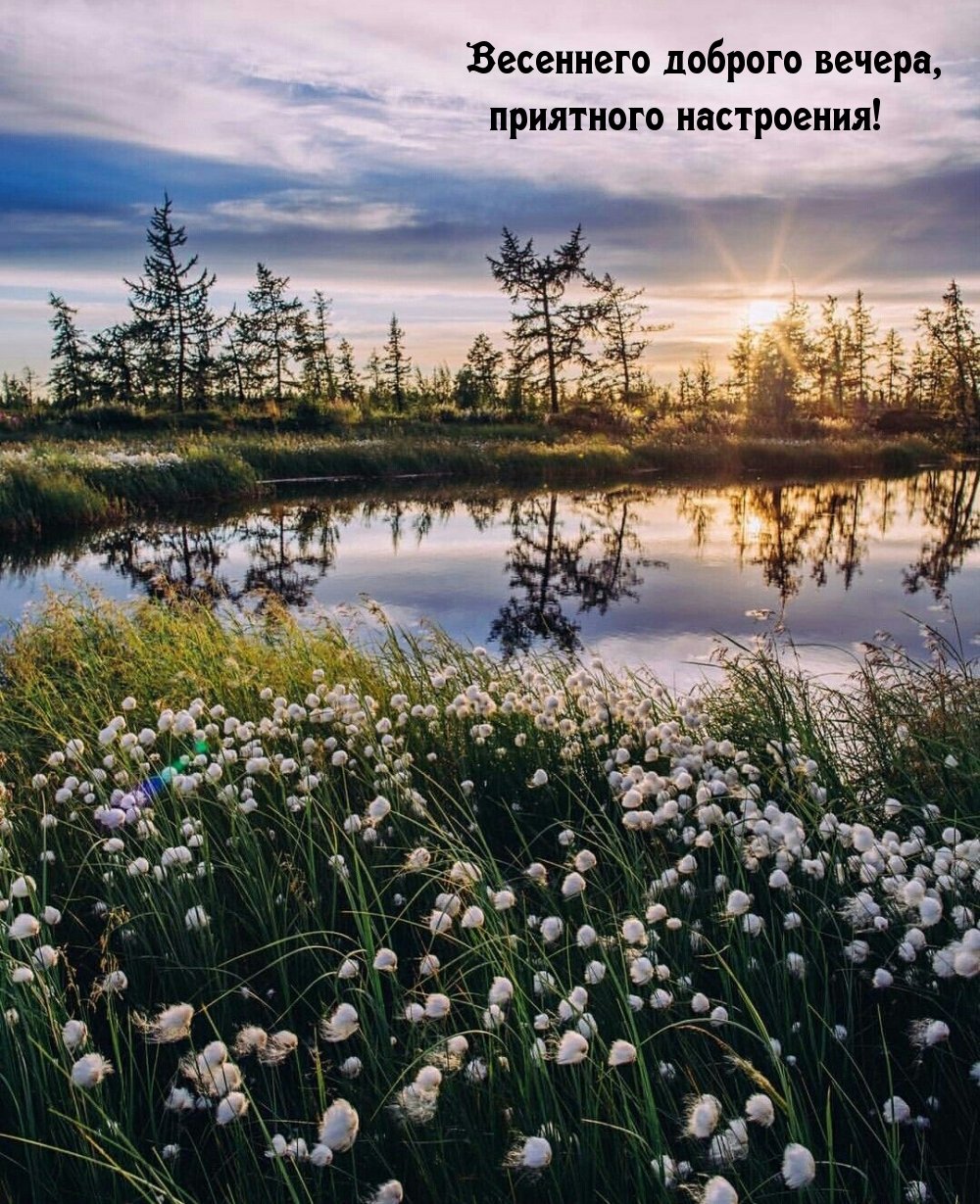 Весенняя аллея