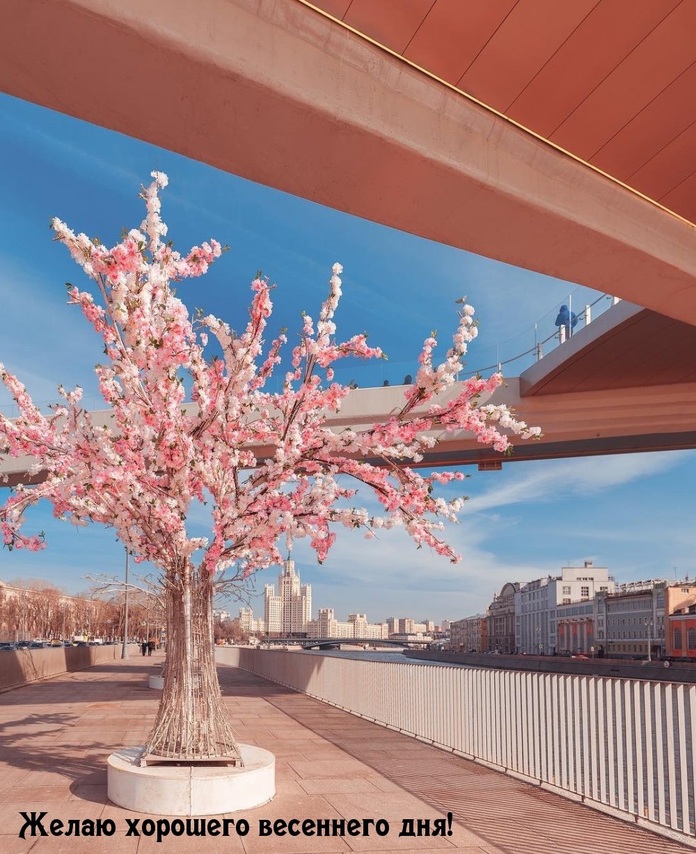 Снежные горы и цветы