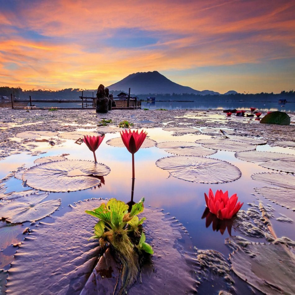 Олег Тимошин акварель