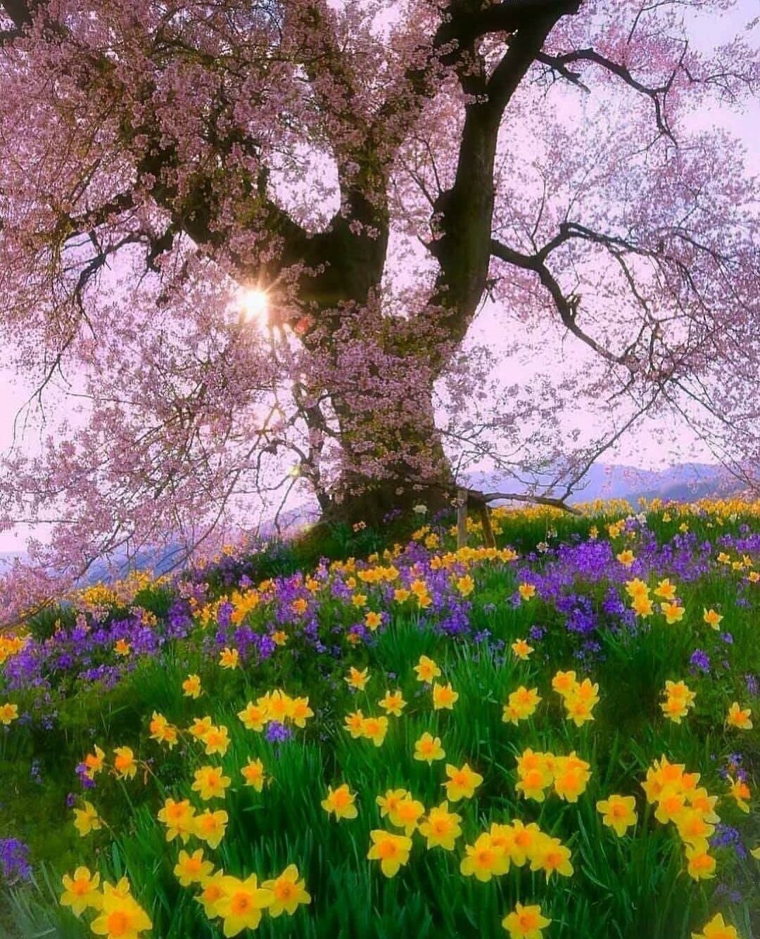 Природа в розовых тонах