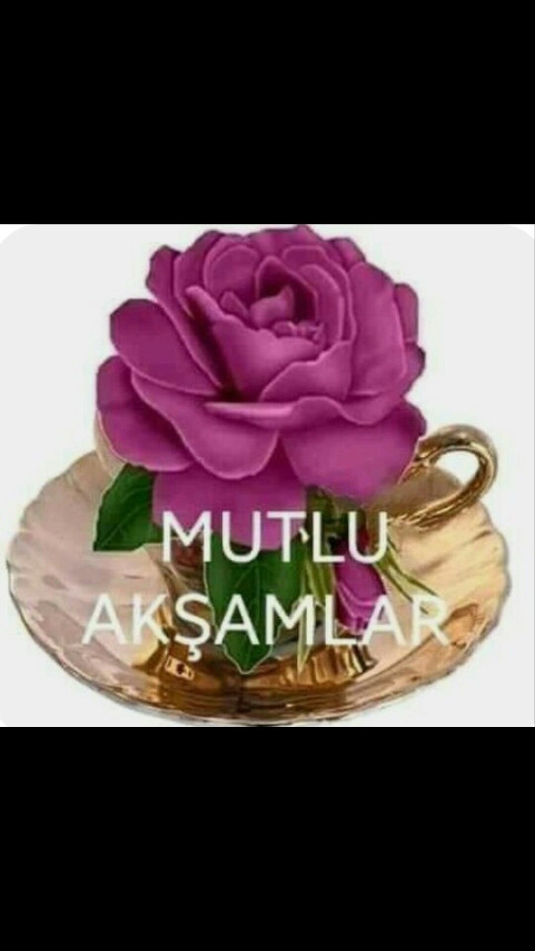 Женская рука с цветком