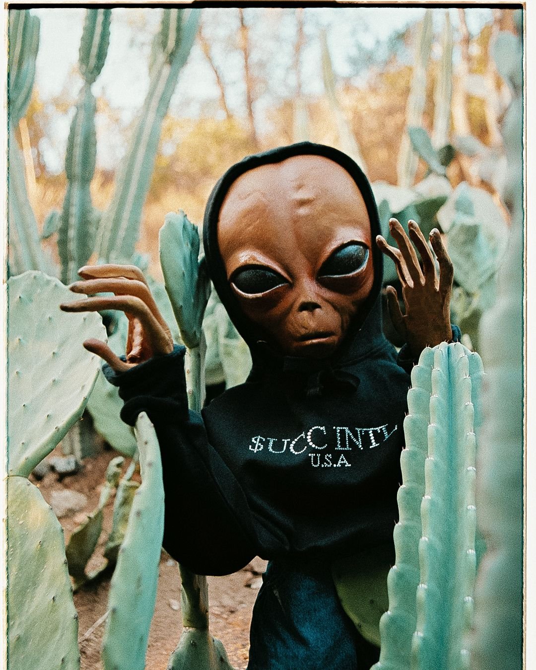 Ханна Роуз и Стивен Радж