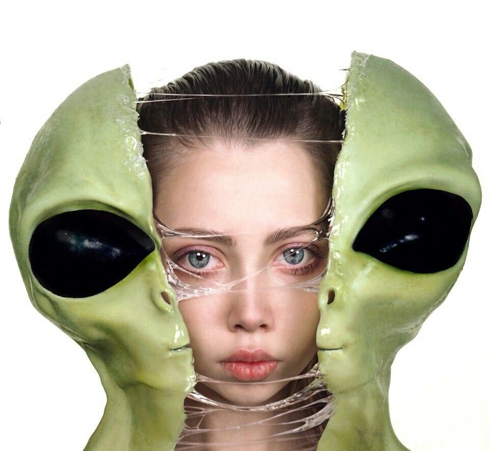 Елена Шейдлина 2022