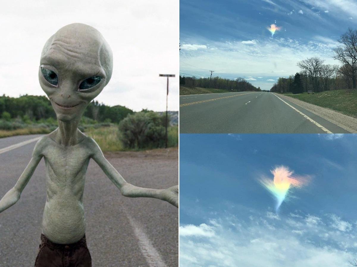 Энтони Лоффредо Лоффредо француз