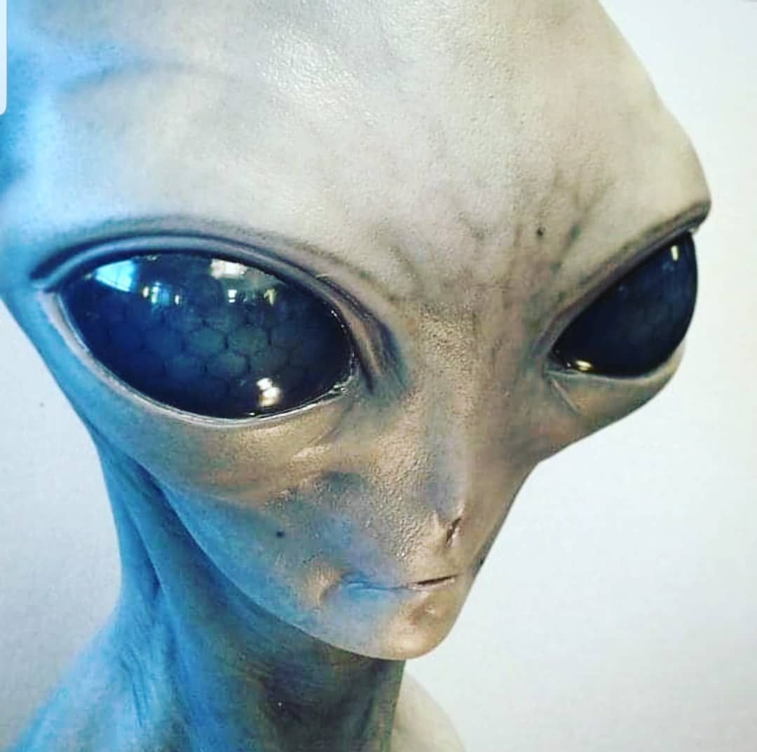 Роуз Далтон и Стивен Радж