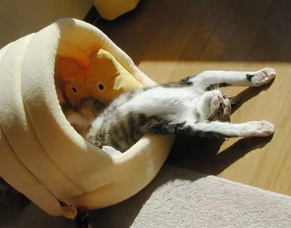 Пробуждение животных