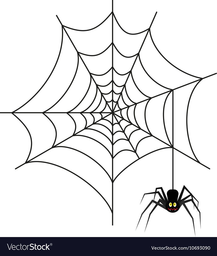 Паутинная сеть паука