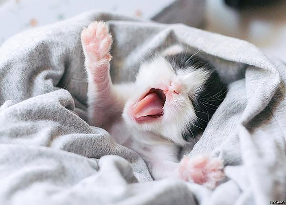 Сладких потягушек