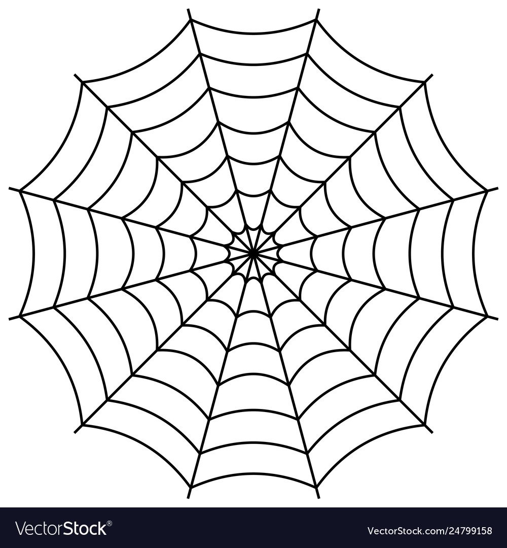 Паутина ПНД