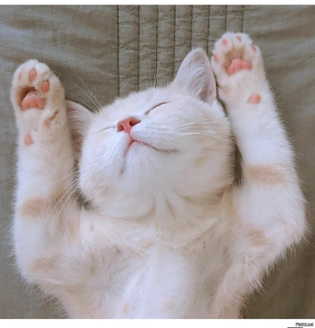 Сладких потягушек