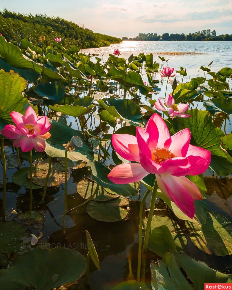 Вадим Маньков Астрахань в прошлом и настоящем