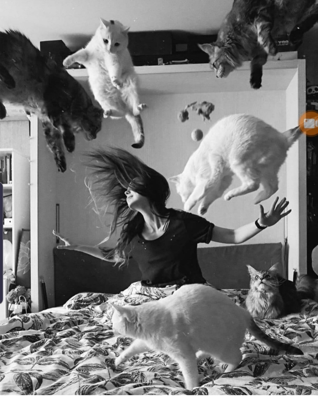 Саня Проснись ты обоссался