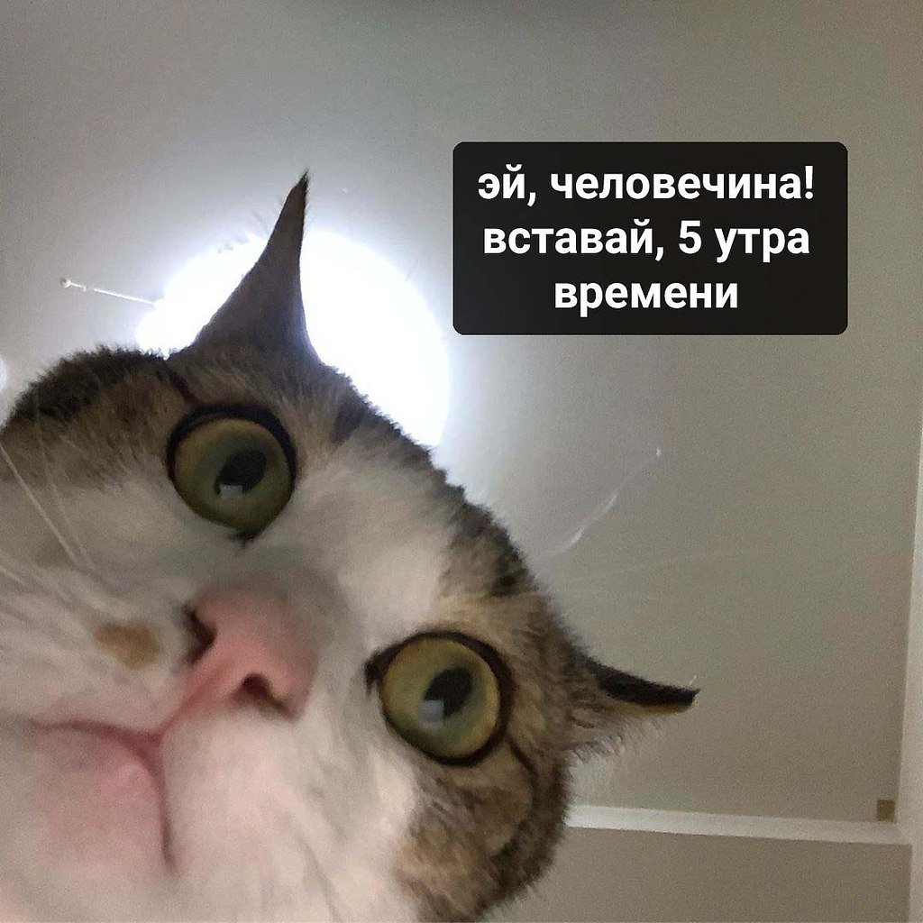 Глазки закрывай всё вставай