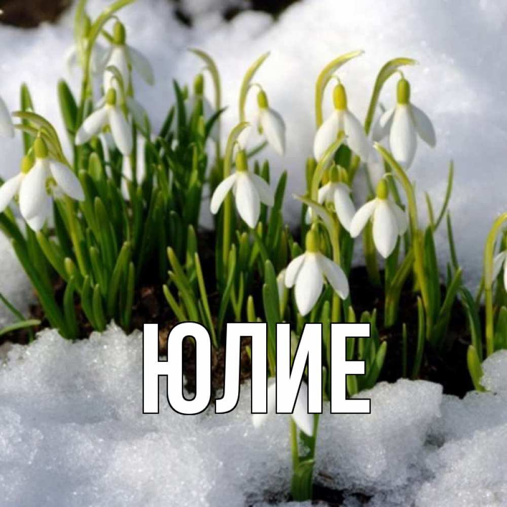 Весна подснежники солнце