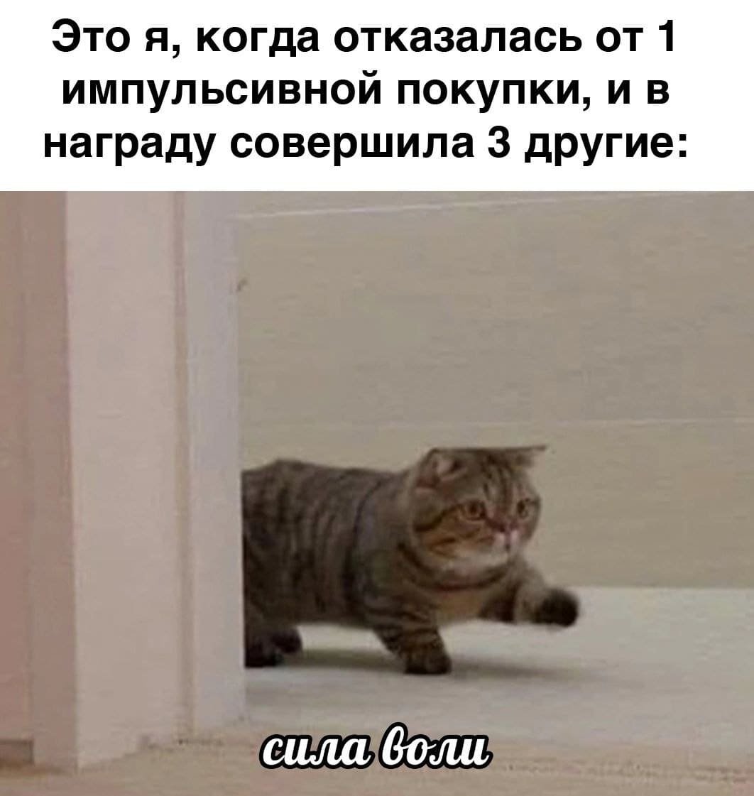 Приколы про учёбу в картинках