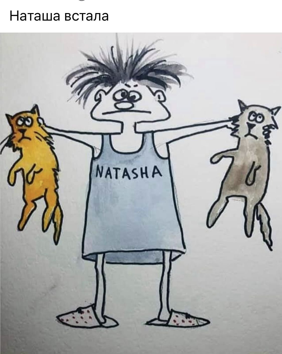 Кот проспал