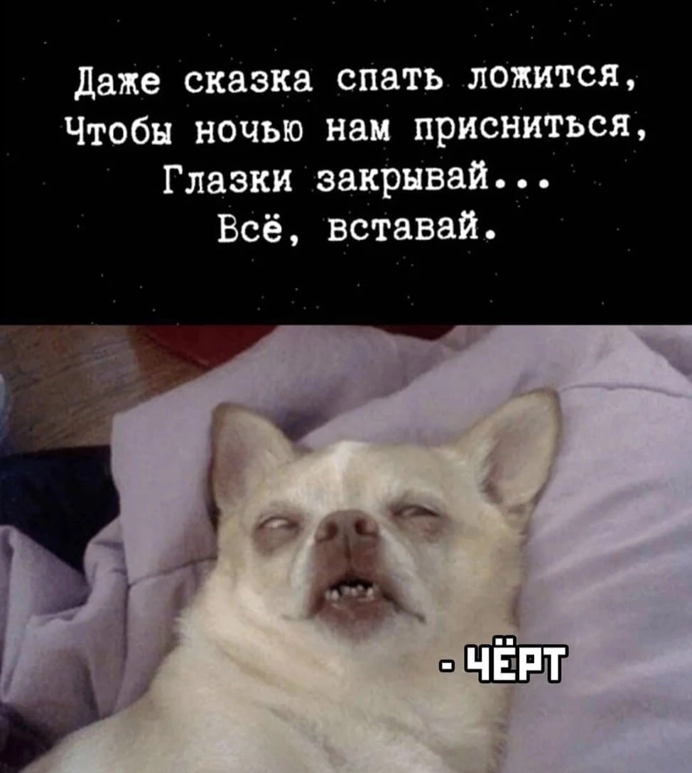 Мемы с котами и Наташей