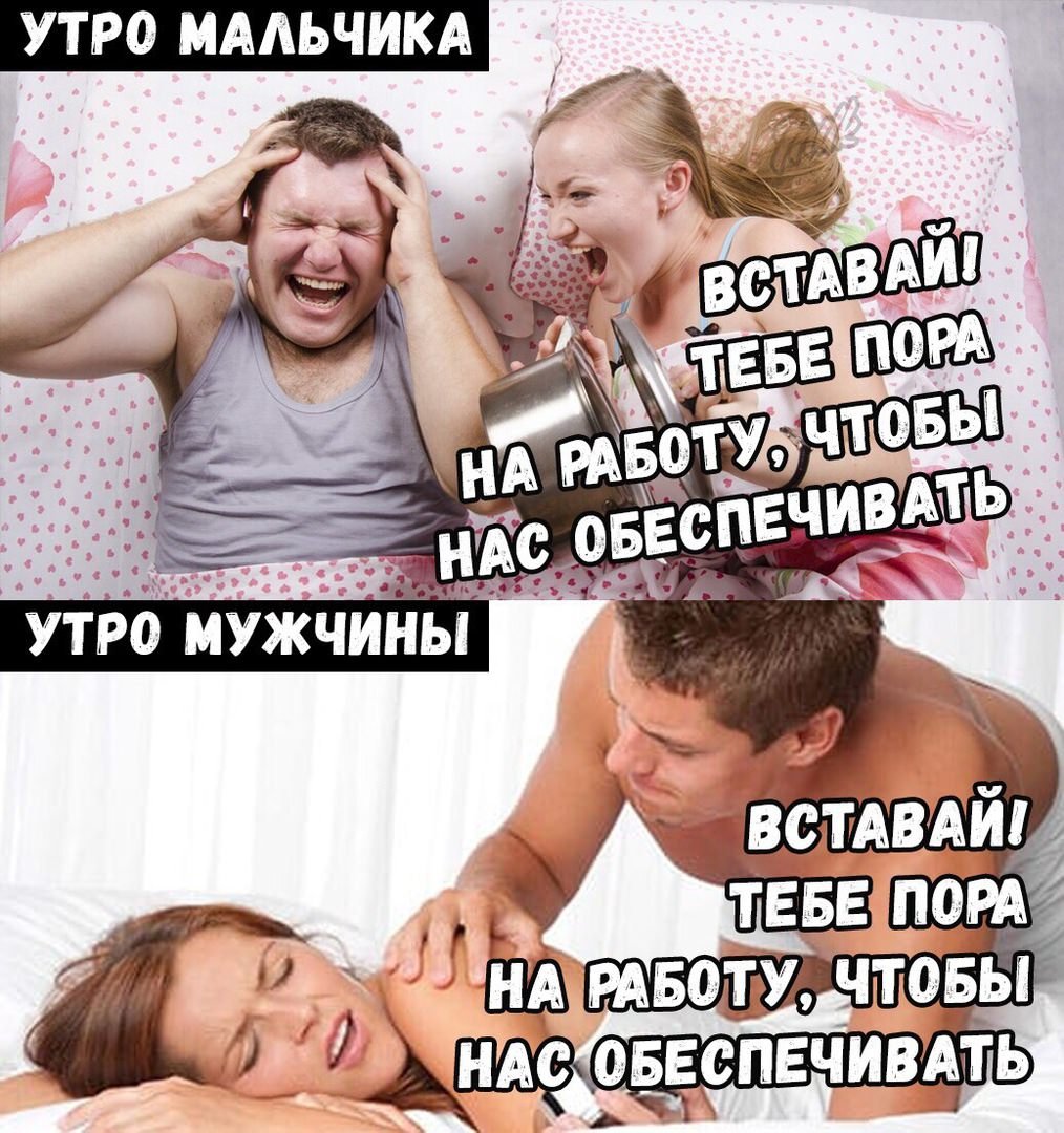 Наташины коты мемы