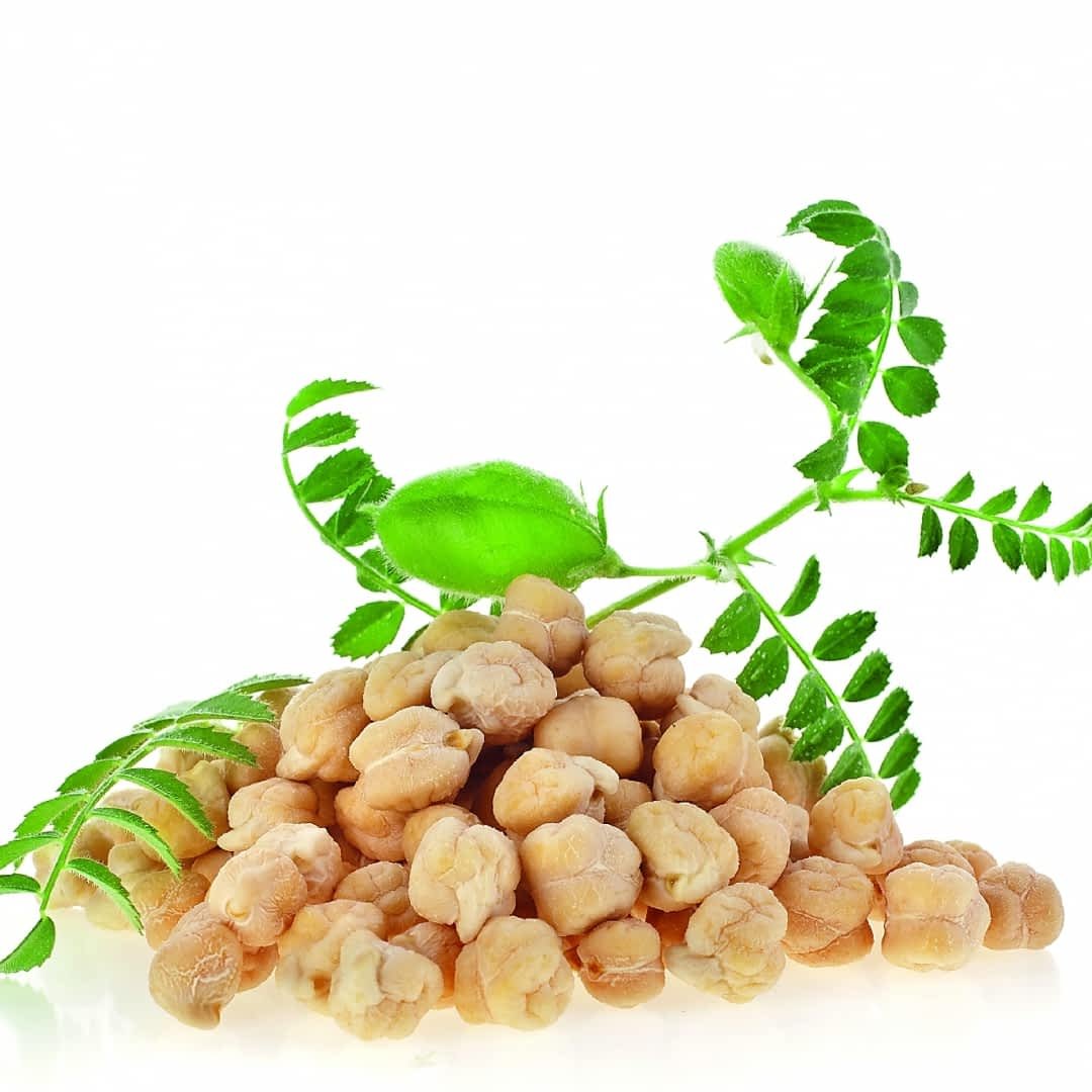 Нут в специях орешки