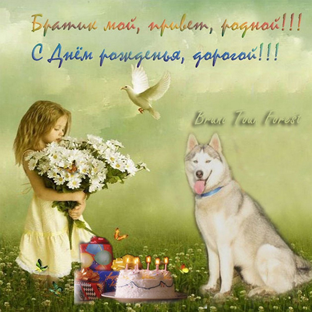 Поздравления с днём рождения брату