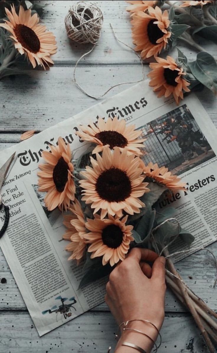 Книги и Подсолнухи