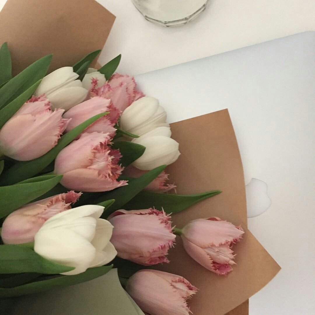 Тюльпаны Эстетика