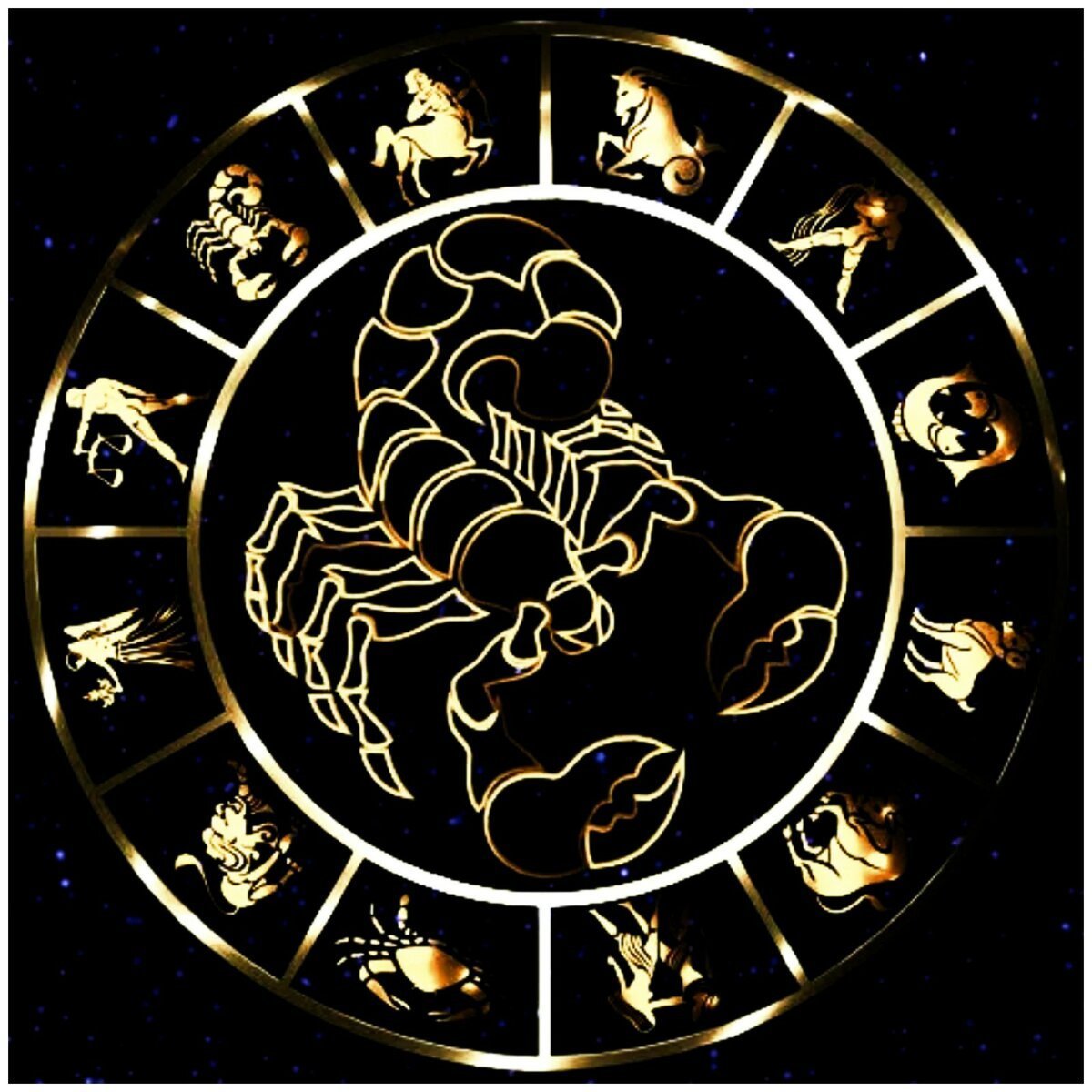 Знаки зодиака люди