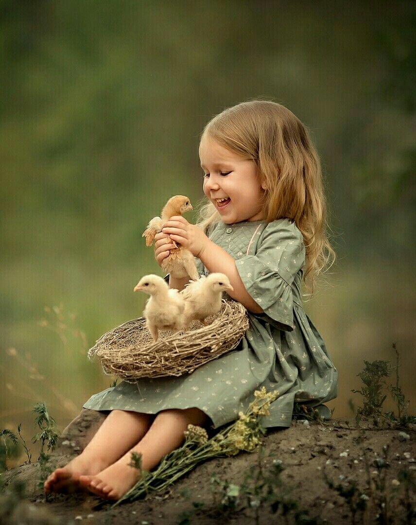 Цыпленок для детей