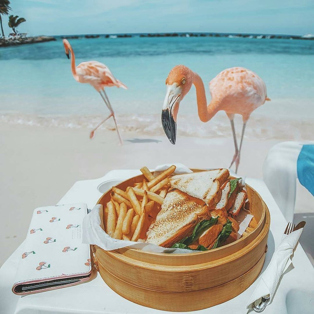 Стая Фламинго рисунок