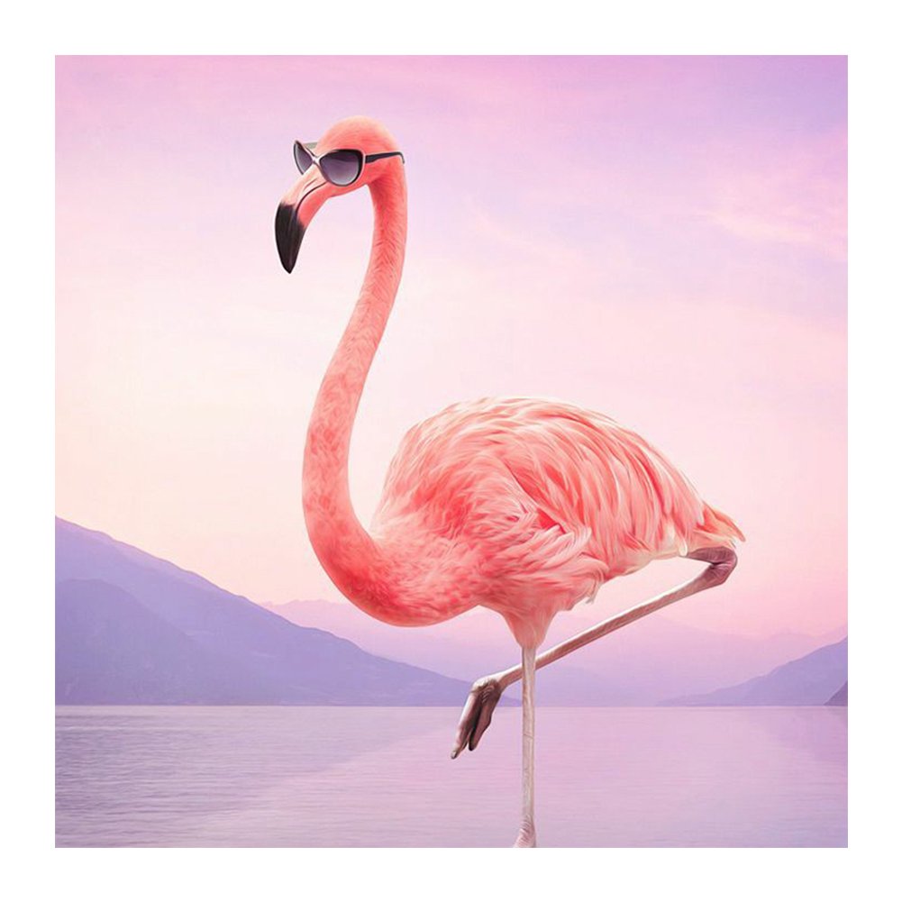 Доброе утро Фламинго