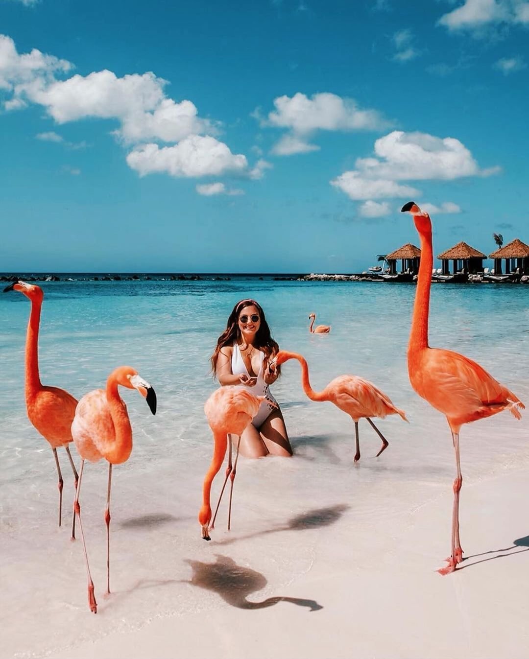 Девушка с Фламинго