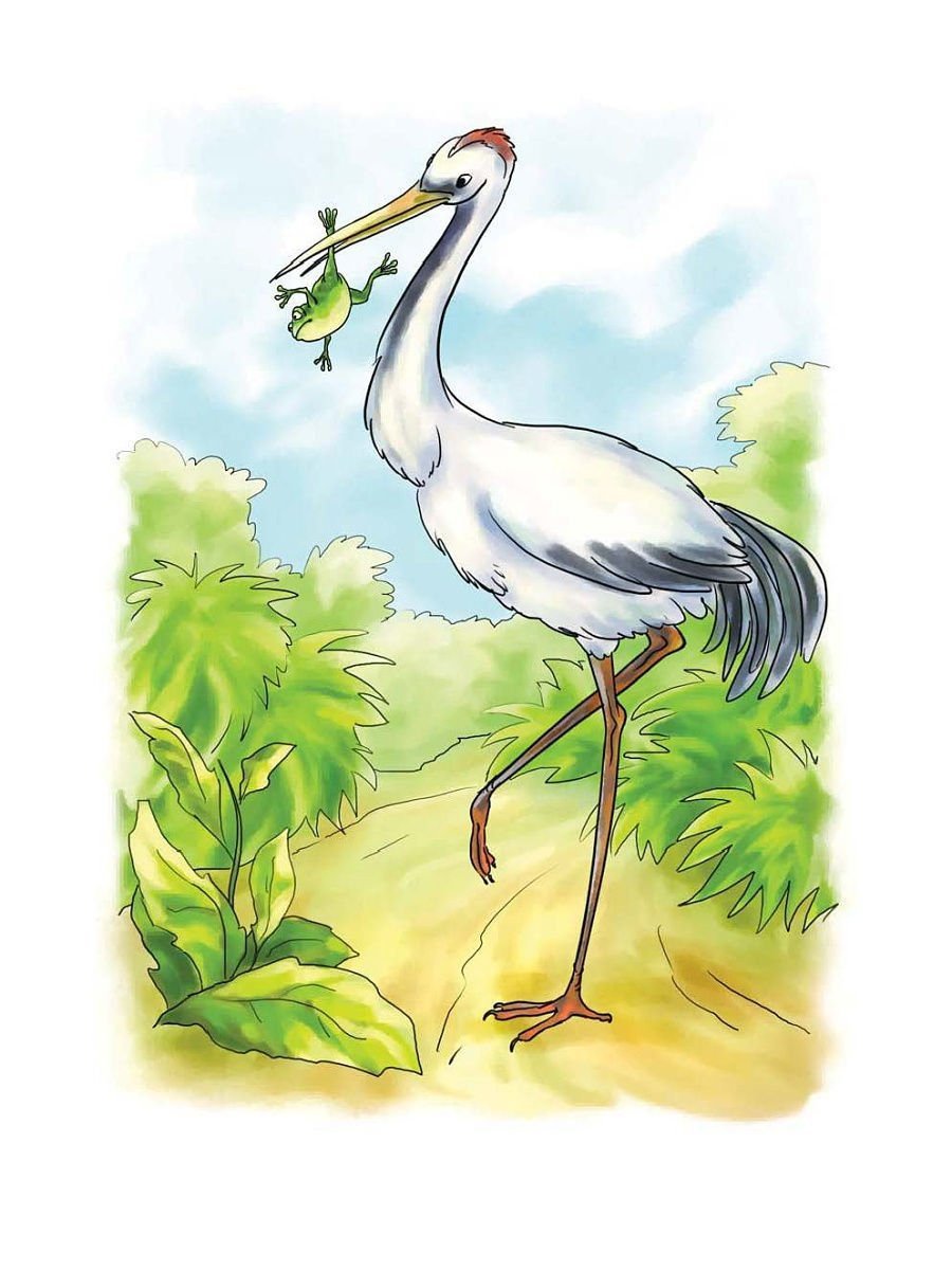 Цапля Аист журавль
