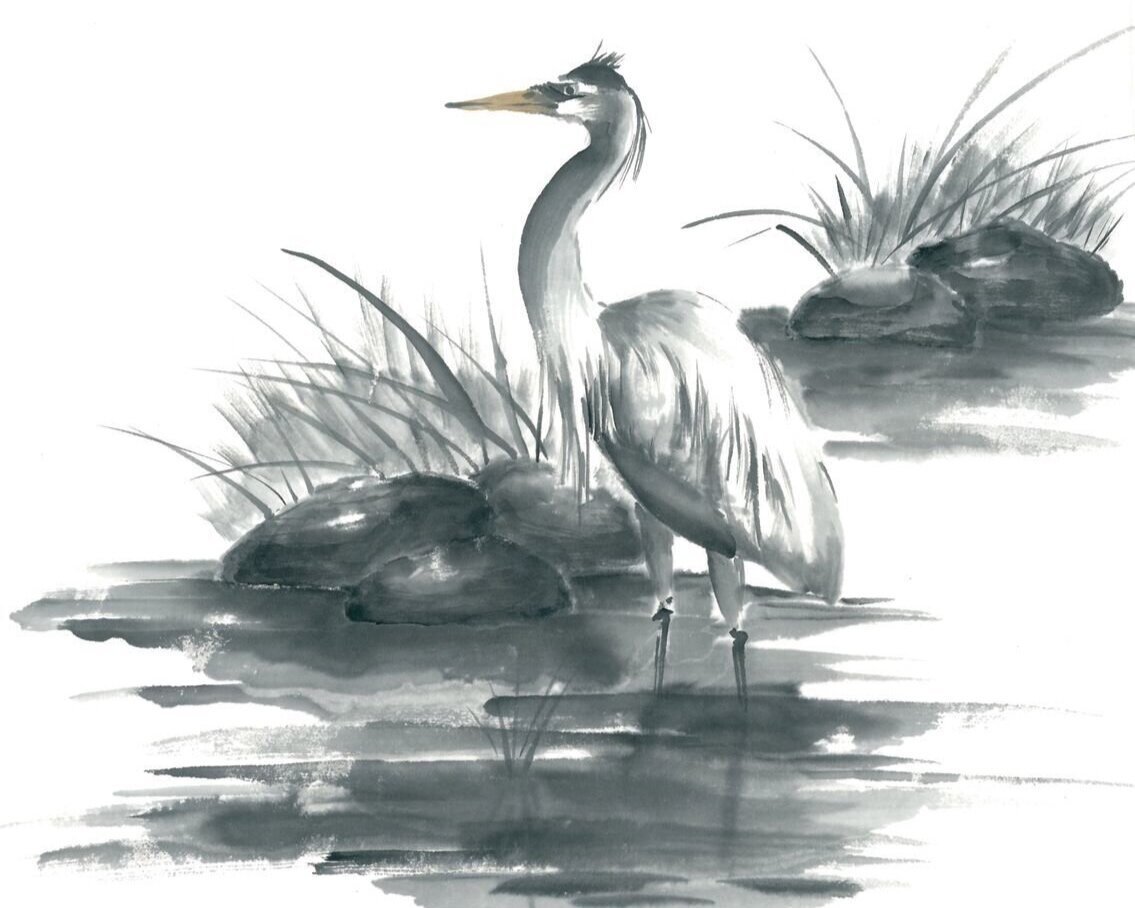 Болото раскраска для детей