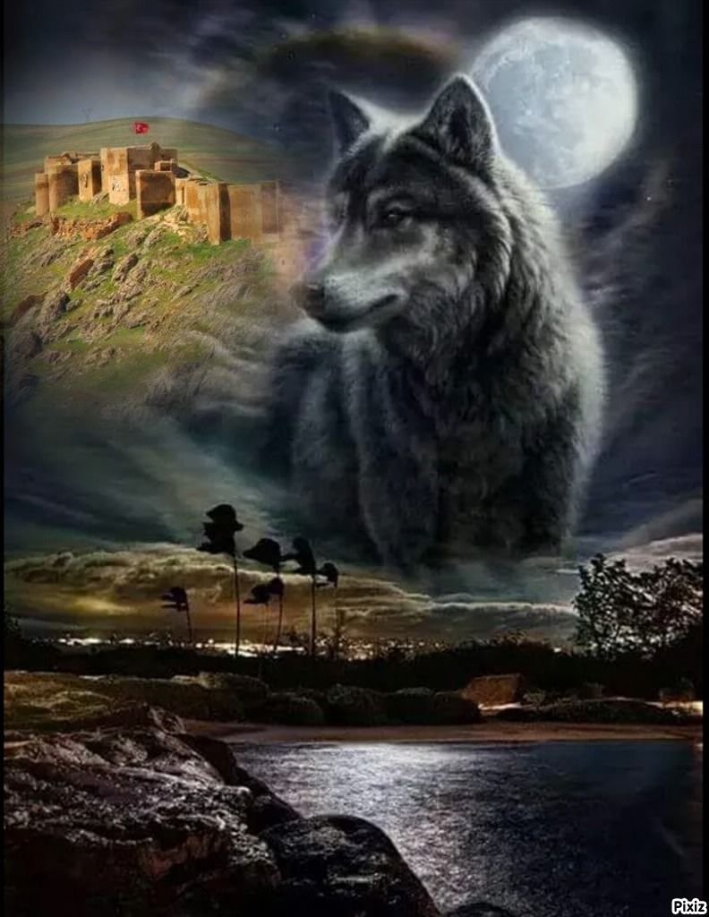 Волк одиночка цитаты