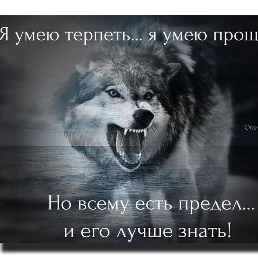 Волк демотиватор