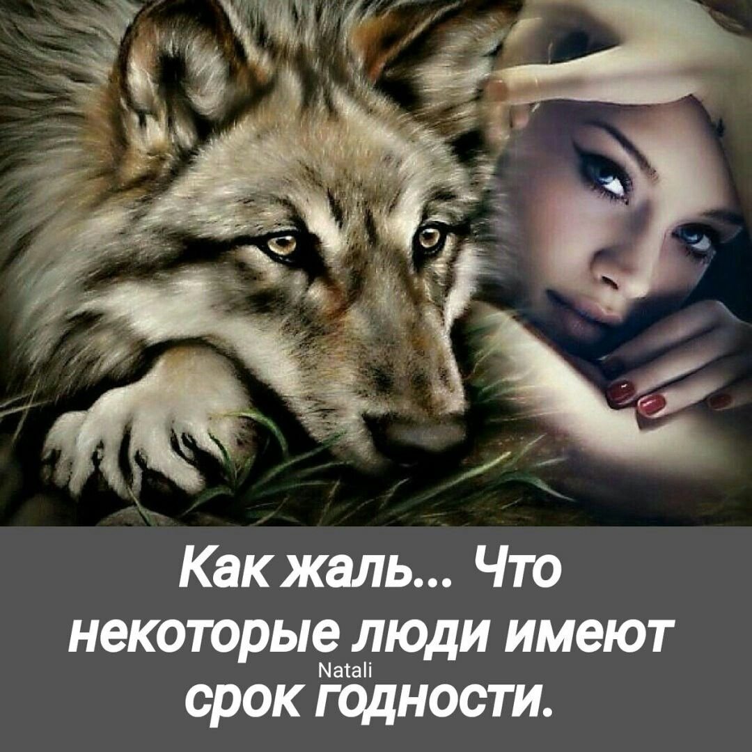 Волк с надписью