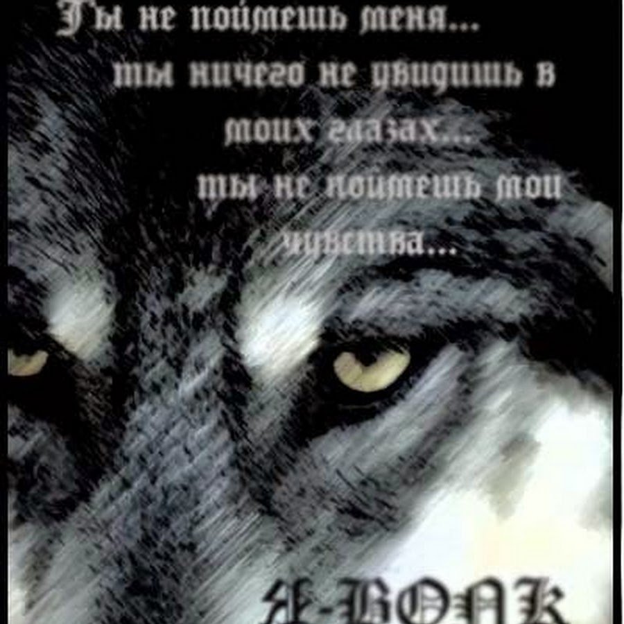 Цитаты волка