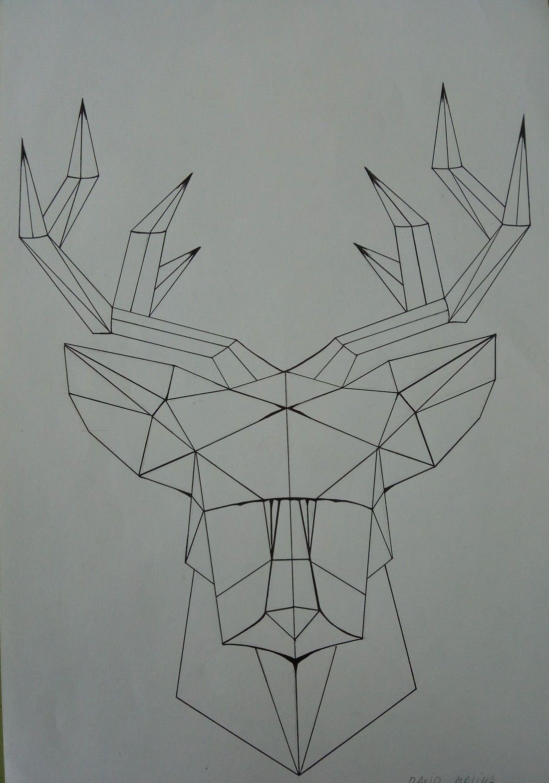 Осевая симметрия в дизайне