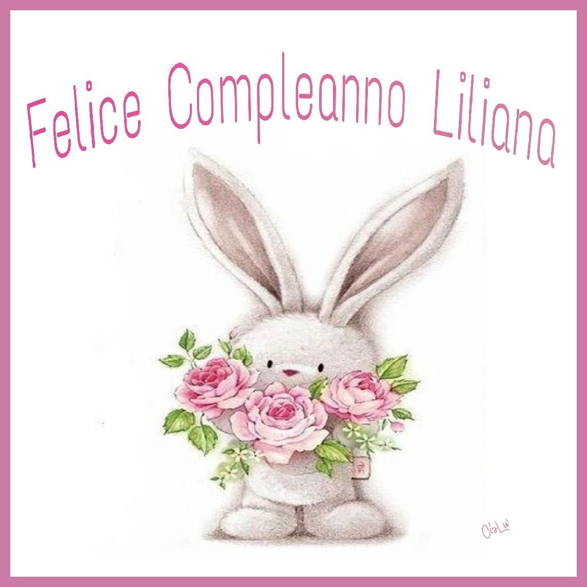 Кролик Эстетика